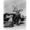 James-Dean-classic-movies-6137319-1024-768.jpg